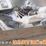 【資源ごみ持ち去り多発】　“常習犯”宅に1トンも　Gメンや無料回収で対策　京都・宇治市