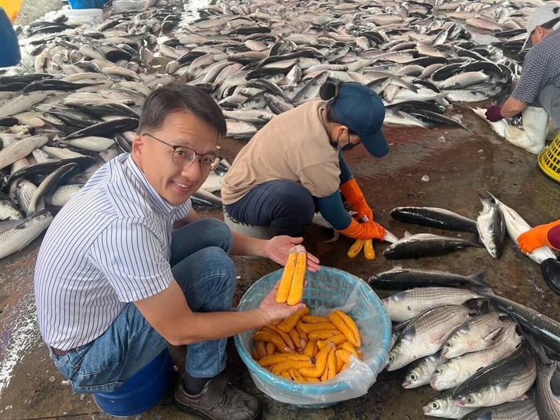 【台湾あれこれ】 台湾産養殖からすみ、色・香り・味の三拍子　食感良く生臭さなし　嘉義県がPR