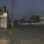 登校中の女子中学生（13）サルにぶつかられ転倒・足首をひねる軽傷