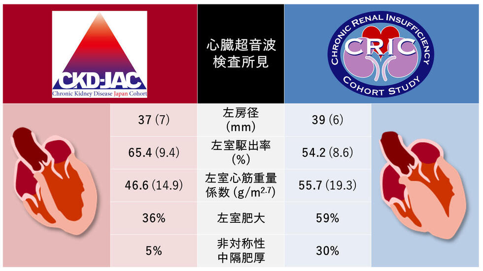 【米ペンシルベニア州立大学研究】過去の新型コロナ感染は腎臓病のリスクを高める、インフルエンザと比較して、急性腎不全のリスクが2.3倍、慢性腎臓病のリスクが1.4倍高い、腎不全を発症する可能性も4.7倍高い