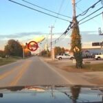 観光公園のトラにウイルス感染拡大、2週間で72頭死ぬ　タイ