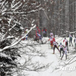 長野と北海道のバックカントリーで韓国人遭難相次ぐ…2日間で8人救助