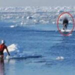 【北海道】オホーツク海で流氷に乗った20代くらいの男性2人が沖に流される　通報から1時間後に無事救助、病院搬送へ　北海道小清水町の海岸