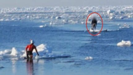 【北海道】オホーツク海で流氷に乗った20代くらいの男性2人が沖に流される　通報から1時間後に無事救助、病院搬送へ　北海道小清水町の海岸