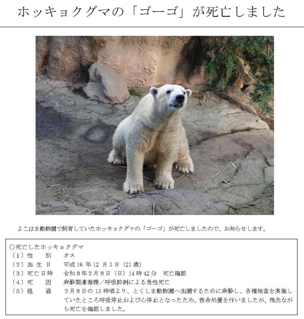 ホッキョクグマ「ゴーゴ」死亡、20分で5回の強制〇精、JAZA会長の責任は？
