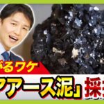 国民民主党「日本産レアアースは20倍の価格でも問題ない。むしろ経済を活性化させ環境にも優しい」