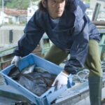 【人手不足】「スマホの電波さえ届きにくい漁村の生活に耐えられない」漁業で飯を食う人が20年で“半減した”残念な理由