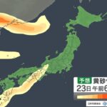 【気象】23日(月)は花粉が関東や東海で大量飛散　西日本を中心に黄砂とのダブルパンチ注意