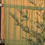 【千葉・野田市】3人組強盗が住宅押し入り80代夫婦を殴って縛る、金庫奪って逃走