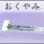 【訃報】ブラジル人総合格闘家パブロ・オリビエラ・コスタさん(31)が感電死　エアコン設置中に高圧電線に激突　柔術大会で優勝経験も