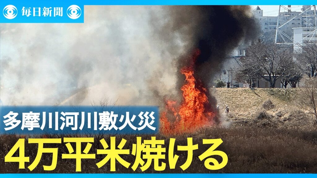 【東京】多摩川河川敷で火災、4万平米焼ける　けが人の情報なし　府中