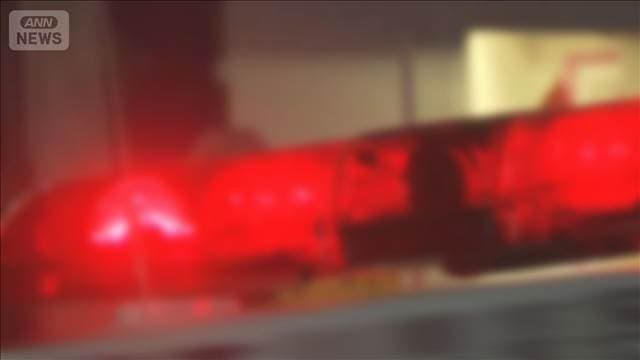 中国人による選挙妨害。埼玉4区の候補者の運動員に暴行し逮捕