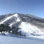 【斑尾高原】スキー場で雪崩…子ども含む5人巻き込まれる…そのうち4人を救急搬送　長野・新潟県境のスキー場