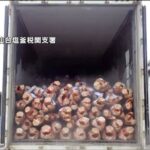 【食用】輸出規制対象のアオザメをモウカザメと偽って約50t輸出しようとした大阪の卸売会社と従業員2人告発される