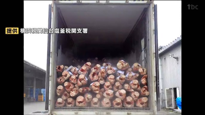 【食用】輸出規制対象のアオザメをモウカザメと偽って約50t輸出しようとした大阪の卸売会社と従業員2人告発される