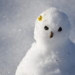 日本で他人の車のボンネットに雪玉を置いたら通報された  中国ネット「日本社会は抑圧的」