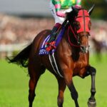 【競馬】6歳牝馬シランケドが引退