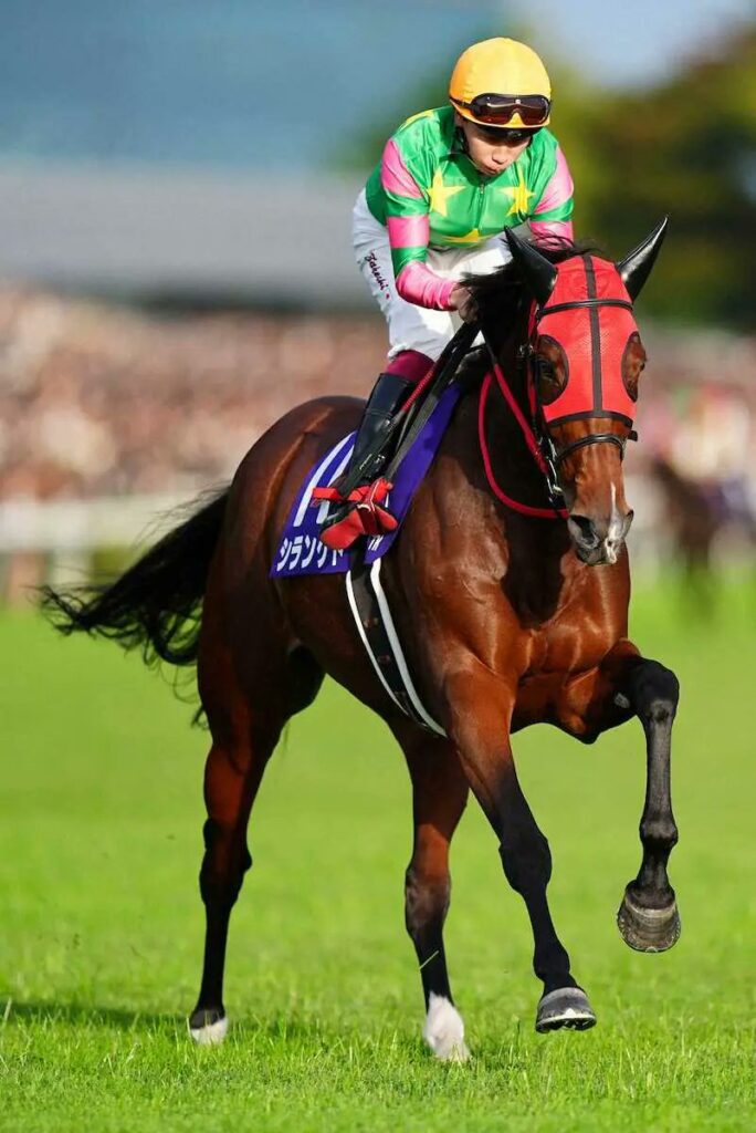 【競馬】6歳牝馬シランケドが引退