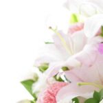 【訃報】“有刺鉄線の神様”武内正義さんが死去、77歳　脳梗塞で闘病　大仁田厚が追悼「FMWになくてはならない人でした」