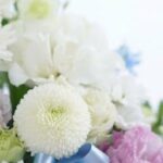 【訃報】 脚本家　林企太子さん死去　92歳　「必殺仕事人」シリーズ