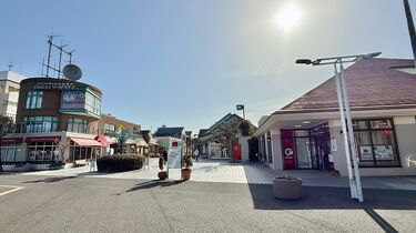 【千葉】｢東急が街を開発｣→｢東急ストアが撤退､やがてモールごと売却｣…チバリーヒルズの街にある｢廃墟モール｣あえなく衰退の背景