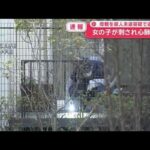 【東京】武蔵野市で女の子が刺され心肺停止　母親を殺人未遂容疑で逮捕