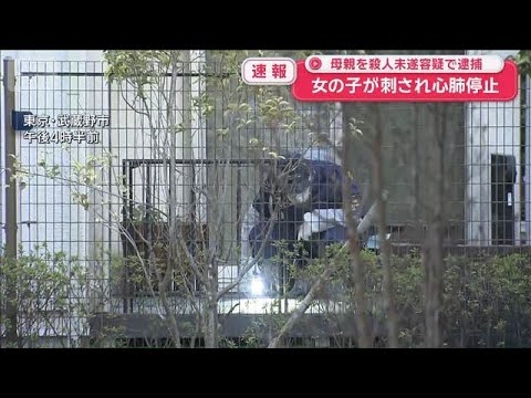 【東京】武蔵野市で女の子が刺され心肺停止　母親を殺人未遂容疑で逮捕
