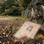 昭和時代、なぜエロ本は「山」「駐車場」に捨てられたのか？――少年の足が支えた非公式流通、移動経済から分析する