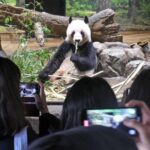 【日中正常化が止まらない】春節の中国人客減少、懸念は将来の「日本ファン」先細り