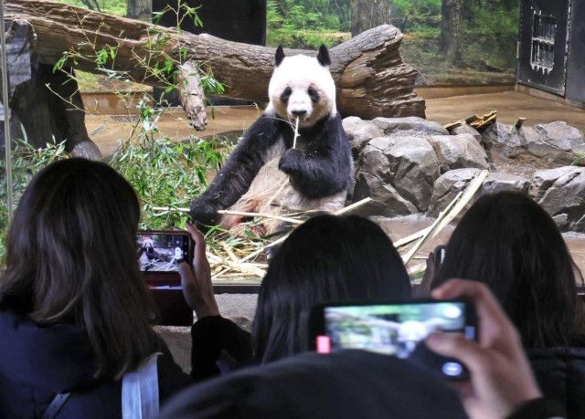 【日中正常化が止まらない】春節の中国人客減少、懸念は将来の「日本ファン」先細り
