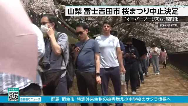 桜まつりの中止を決定…山梨・富士吉田市