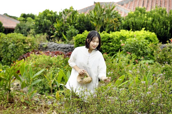 【スギ・ヒノキ】花粉症でも春満喫、沖縄や北海道など「避粉地」人気…「まるで別世界」観光やワーケーション