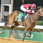 【競馬】フォーエバーヤング“最終章”に世界からラブコール！「欧州芝」リクエストに矢作調教師「芝での走りを見てみたい気持ちは強い」