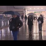 【気象情報】けさにかけ関東で雨や雪　積雪・凍結路面に注意