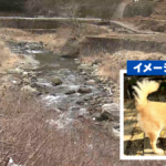 【山梨】チワワを川に投げて死なせる　男が盗んだ車から投げ捨て…飼い主「殺人と同じ、到底許せない」