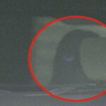 【裁判】すすきの首切り殺人、母親に懲役６か月・執行猶予２年の判決　控訴審で減刑　札幌高裁