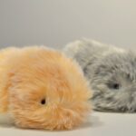 【もふもふ】カシオ、ペットロボ「モフリン」を大学病院の小児科に試験導入