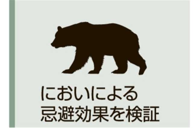 【クマ】正露丸のにおいはクマに効くか？　エアガンで追い払う「弾」開発へ製薬会社連携　龍角散社長が音頭