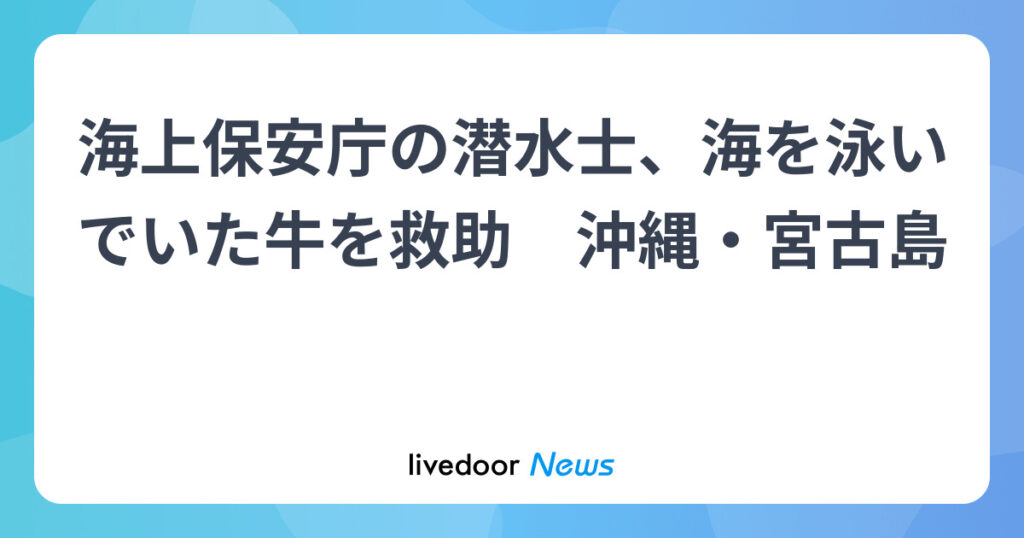【沖縄・宮古島】海上保安庁の潜水士、海を泳いでいた牛を救助