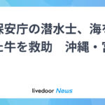 【沖縄・宮古島】海上保安庁の潜水士、海を泳いでいた牛を救助