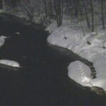 【旭川】忠別川に仰向け状態の女性の遺体腐敗が進み年齢不明 事件・事故両面で捜査 北海道