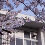 【お金】わが家は「生活保護」を受けていますが、成績優秀な息子を“大学進学”させてあげたいです。福祉事務所には「原則不可」と言われましたが“世帯分離すれば可能”って本当ですか？ 注意点も確認