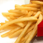 【暮らし】「注文をためらう…」マクドナルド値上げに若者の悲鳴。“子どもはぜいたく品”と言われる日本の残酷なリアル