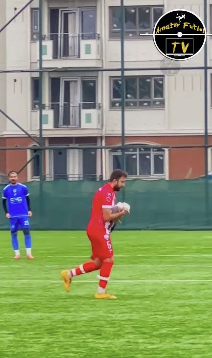 【トルコ】カモメがサッカーボールに当たり墜落、選手が心肺蘇生術で救う