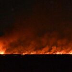 渡良瀬遊水地の火災が鎮圧　群馬県境