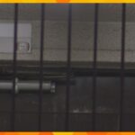 【大阪】「顔を殴りました」府立高校講師の女を傷害の疑いで逮捕　集合住宅で住人の男性死亡