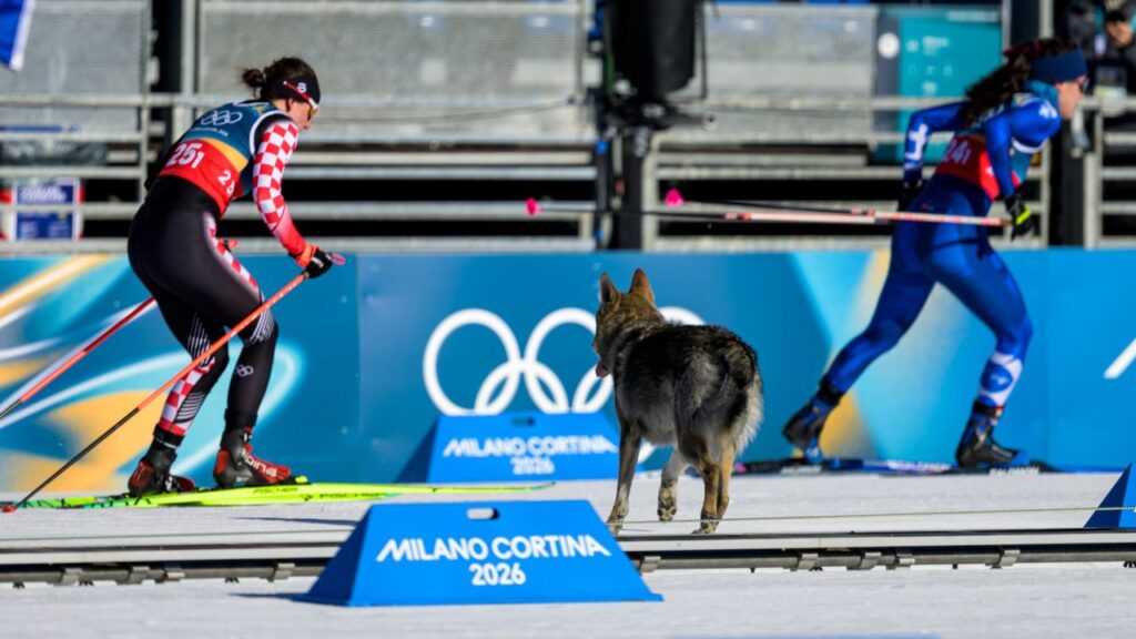 【珍事🐶】“犬”が試合に乱入！クロスカントリーで選手と共に犬が気持ちよくゴール　フィニッシュ写真も撮られる粋な対応