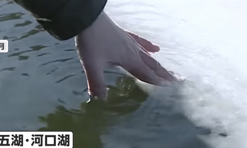 凍った山中湖でジャンプやダンス　映え映え