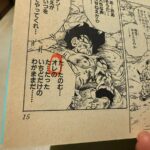 【音楽】宇多田ヒカル「これってファンの間では有名な話なのかな？」　悟空が<オレ>って言ったー！