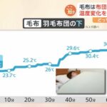 【検証】「布団の上に毛布」が暖かい説　毛布は布団の「上」か「下」か　毛布の正しい使い方